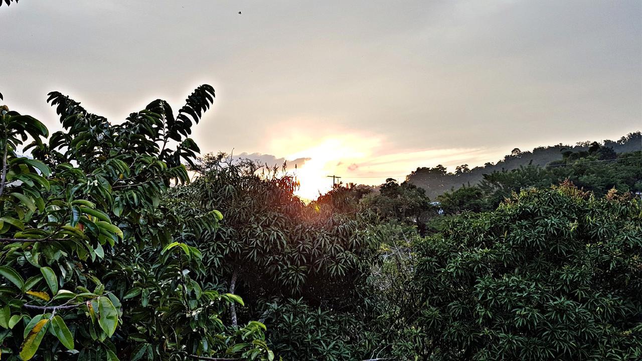 Akainoie Hotel Minca Luaran gambar